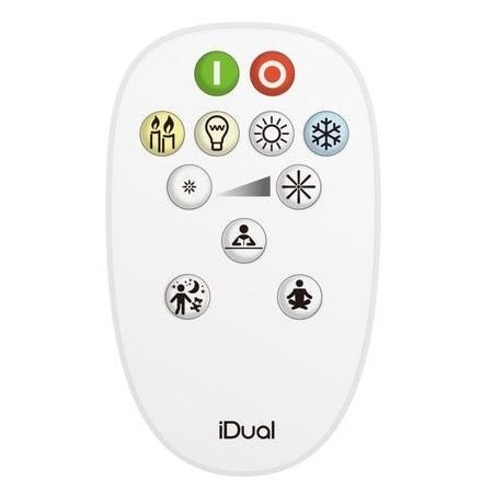 IDUAL Ampoule led globe  silver dimmable à télécommande